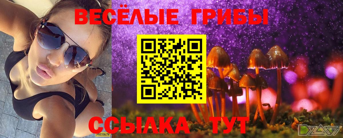 Галлюциногенные грибы MAGIC MUSHROOMS Киселёвск