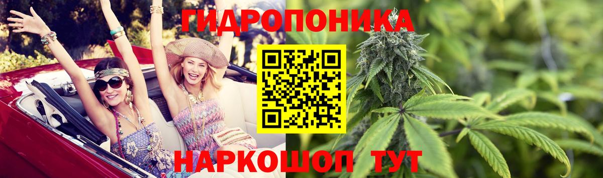 Бошки марихуана AK-47  Бошки Шишки THC 21%  Киселёвск  Вход с VPN  Бошки Шишки марихуана 
